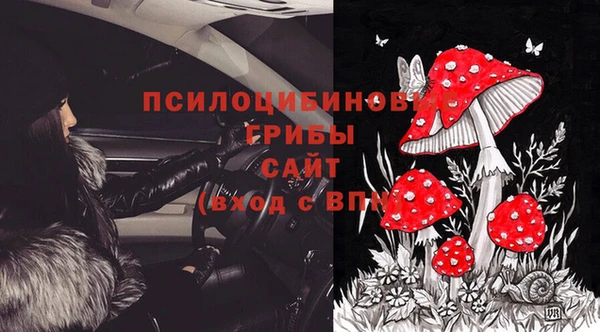 круглые Абаза