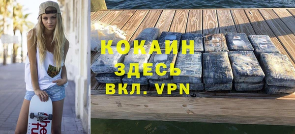 соль ск Алексин