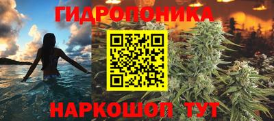 дживик Брянск
