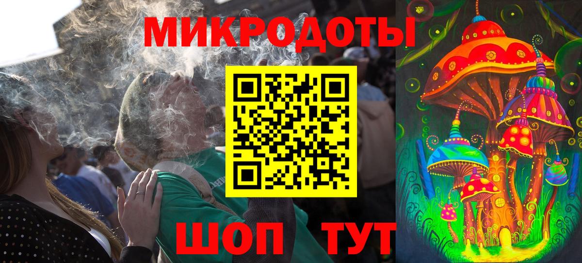 Галлюциногенные грибы Psilocybe Богородск