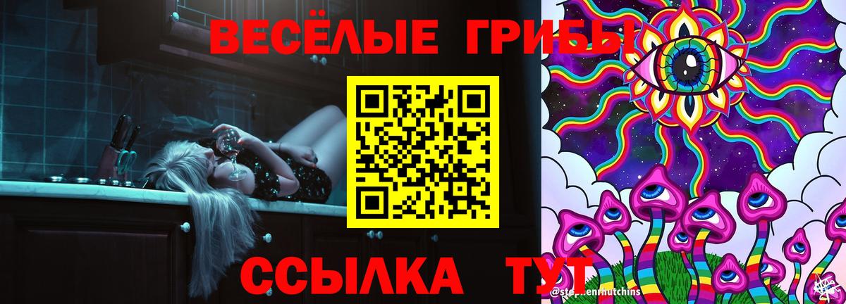 Галлюциногенные грибы мицелий  Галлюциногенные грибы Psilocybine cubensis  Богородск  Вход с VPN 