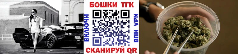 магазин продажи наркотиков  Богородск  hydra онион  Бошки марихуана индика 